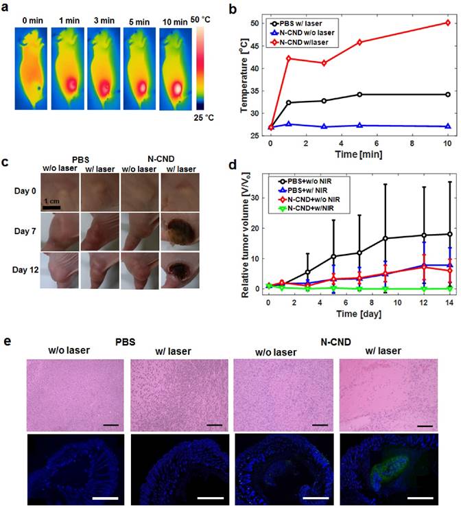 Theranostics Image