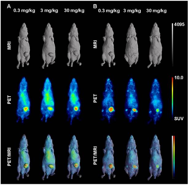 Theranostics Image