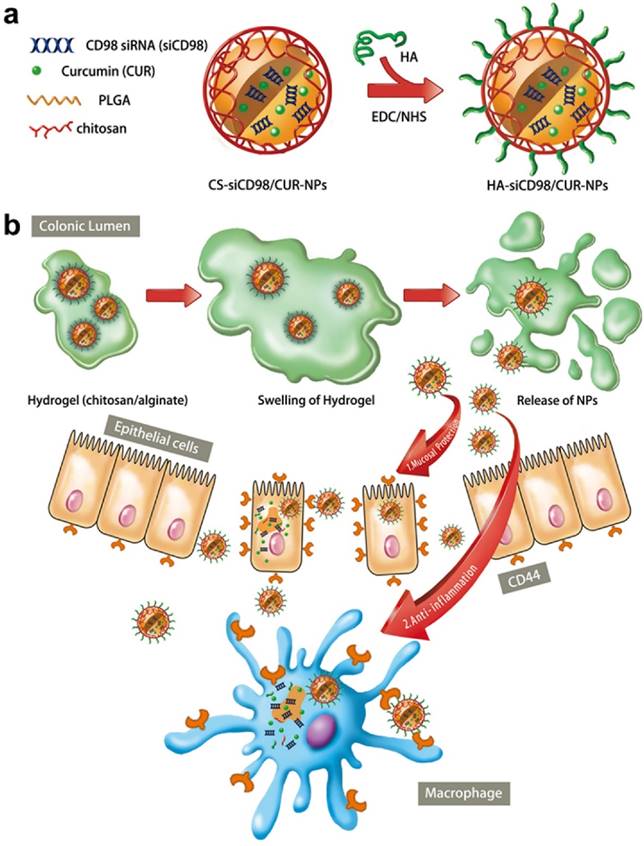 Theranostics Image