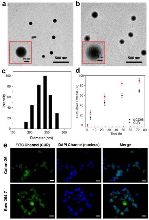 Theranostics Image