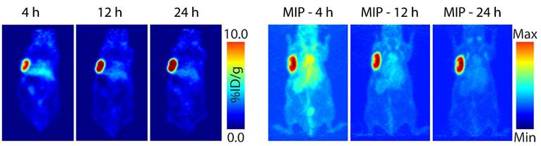 Theranostics Image