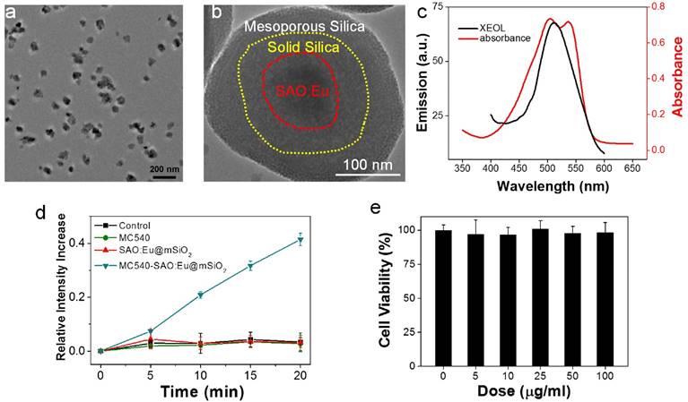 Theranostics Image