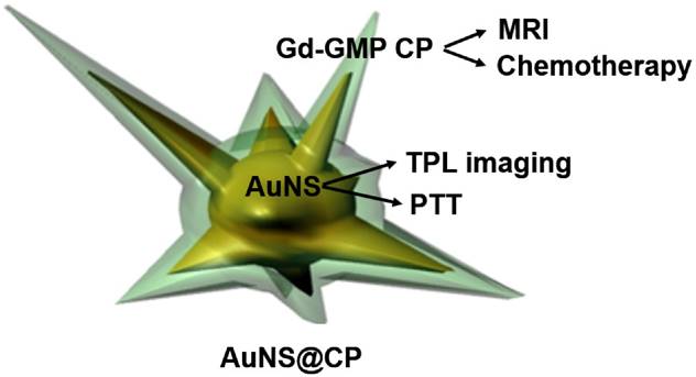 Theranostics Image