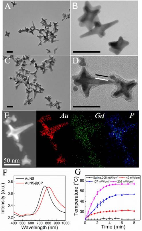 Theranostics Image