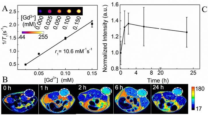 Theranostics Image