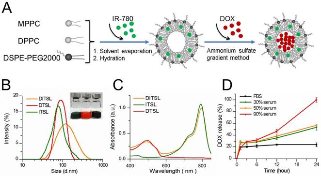 Theranostics Image