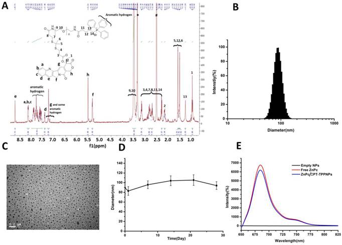 Theranostics Image