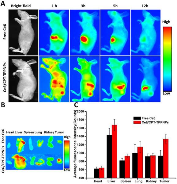 Theranostics Image