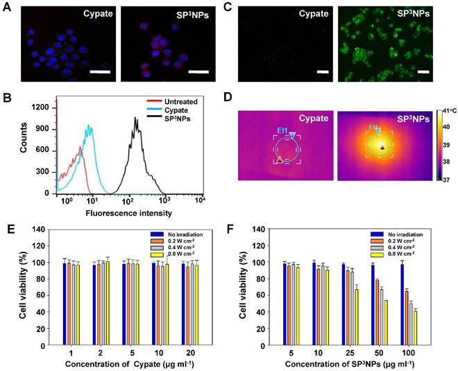 Theranostics Image