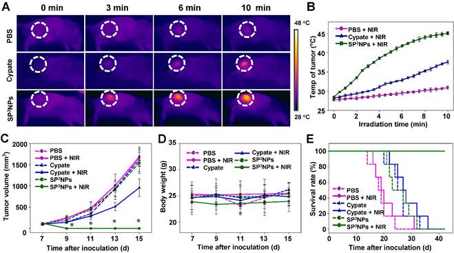 Theranostics Image