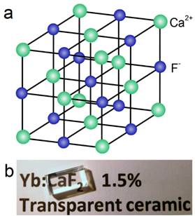 Theranostics Image