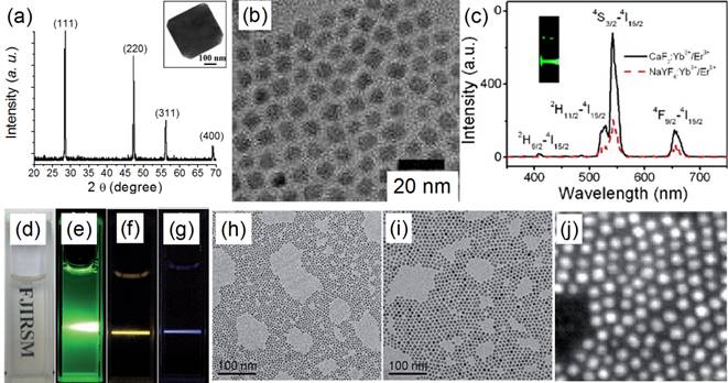 Theranostics Image