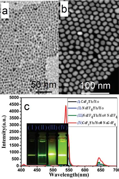 Theranostics Image