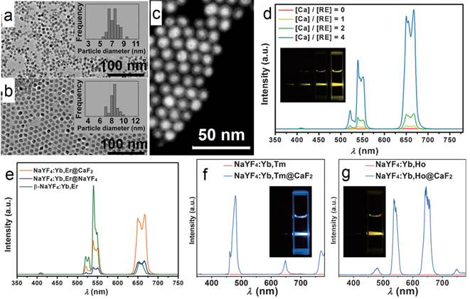 Theranostics Image