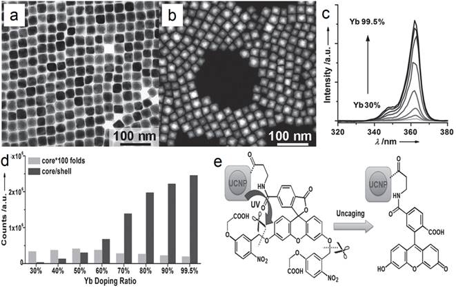 Theranostics Image