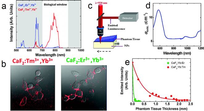 Theranostics Image