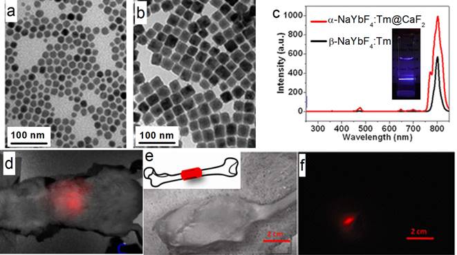 Theranostics Image