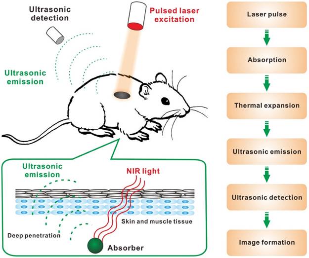 Theranostics Image