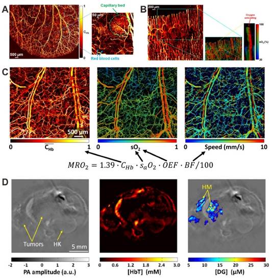 Theranostics Image