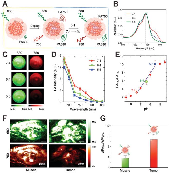 Theranostics Image