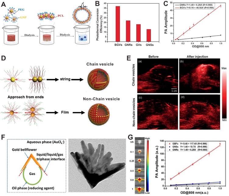 Theranostics Image