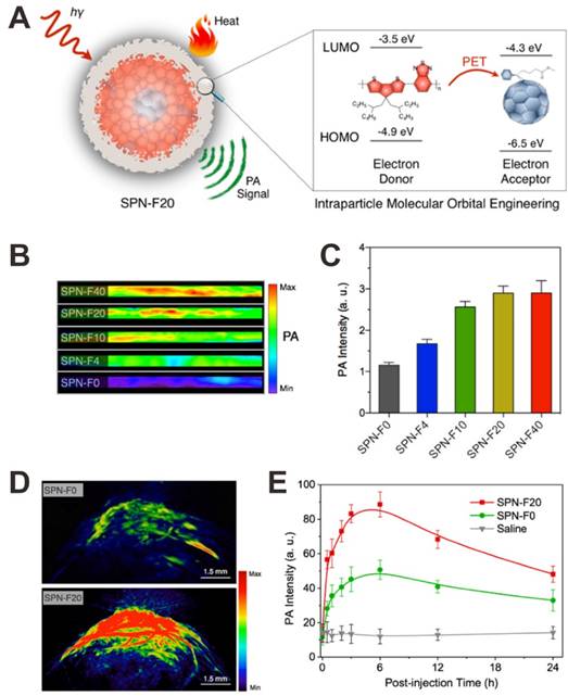 Theranostics Image