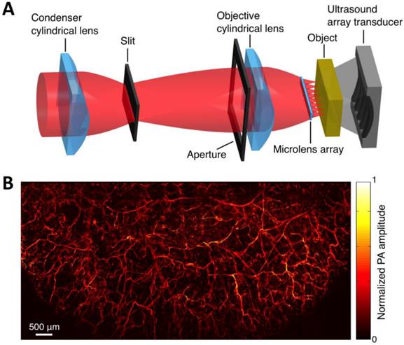 Theranostics Image