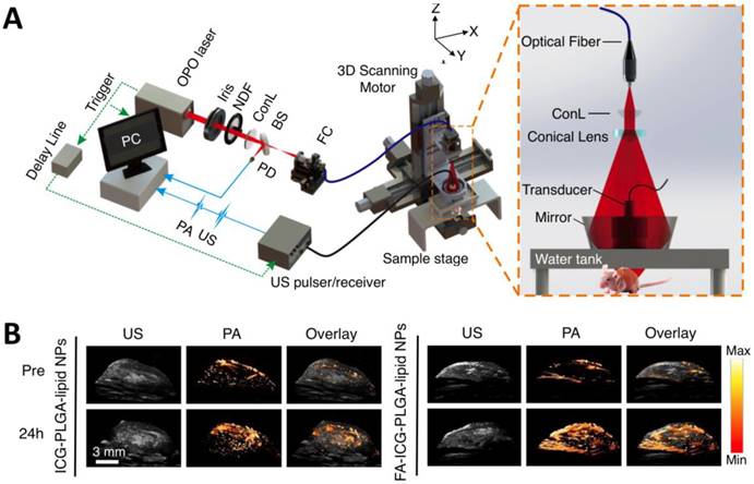 Theranostics Image