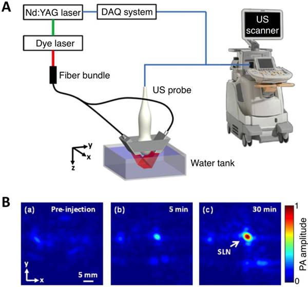 Theranostics Image