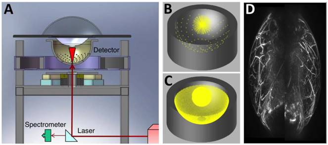 Theranostics Image