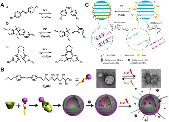 Theranostics Image