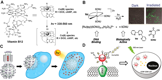 Theranostics Image