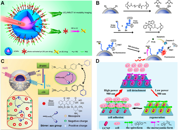 Theranostics Image