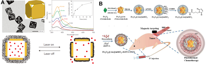 Theranostics Image