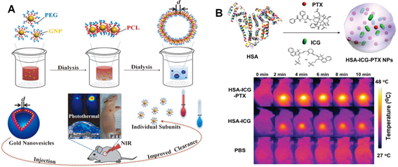 Theranostics Image