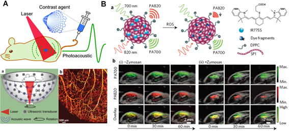 Theranostics Image