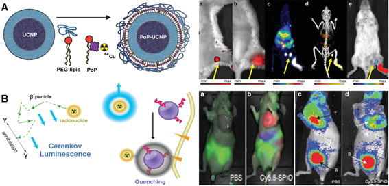 Theranostics Image