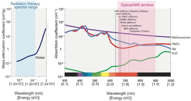 Theranostics Image