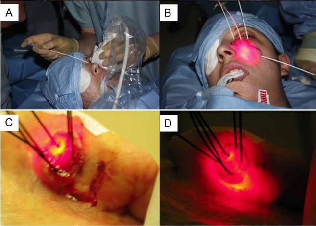 Theranostics Image