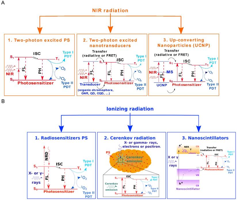 Theranostics Image