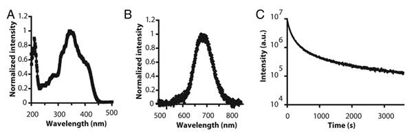 Theranostics Image