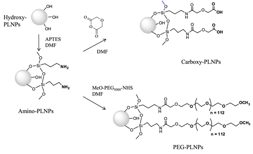 Theranostics Image