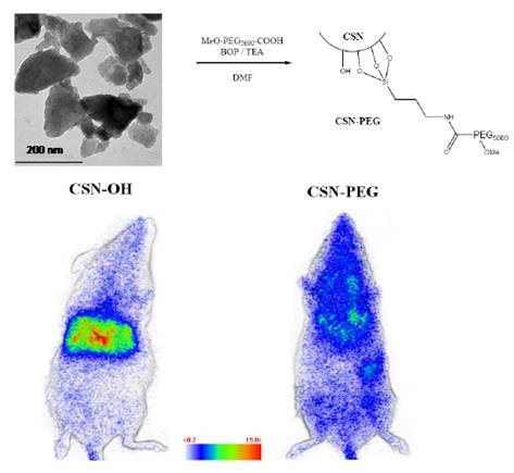 Theranostics Image