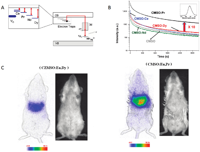 Theranostics Image