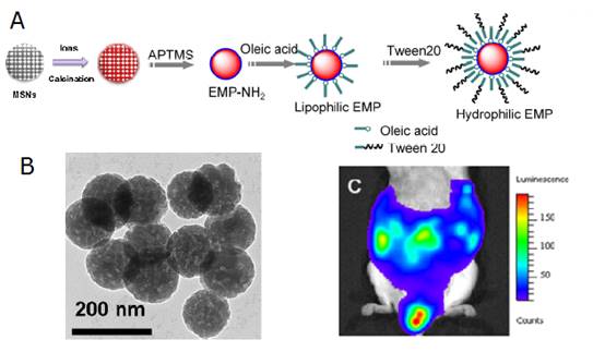 Theranostics Image