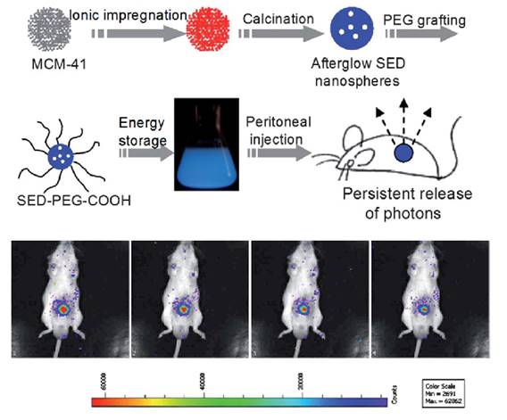 Theranostics Image