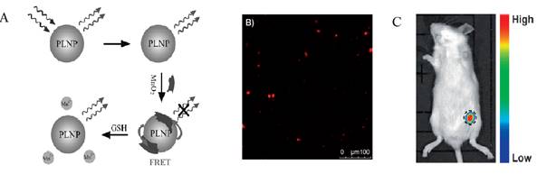 Theranostics Image