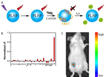 Theranostics Image