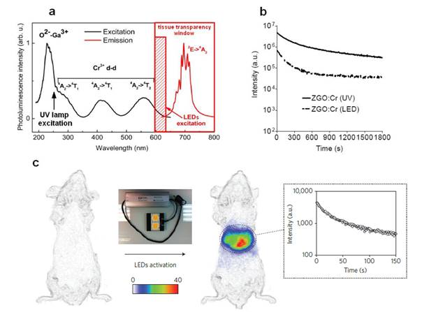 Theranostics Image