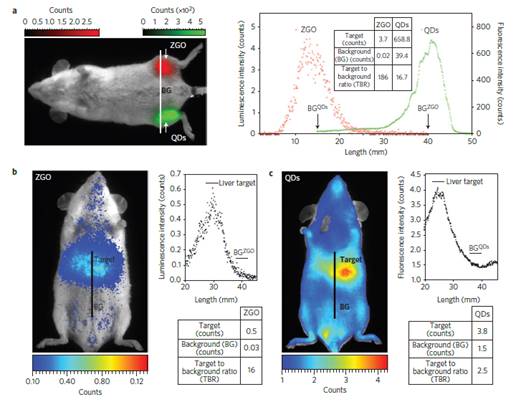 Theranostics Image